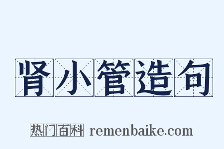 肾小管造句是什么意思的图片